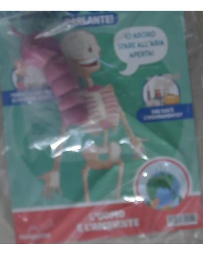 Costruisci Skelly - Il corpo umano parlante (ed. 2025)